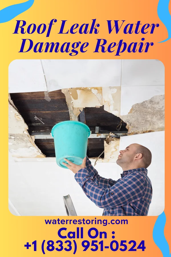Roof Leak Water Damage Repair in Fortville, IN