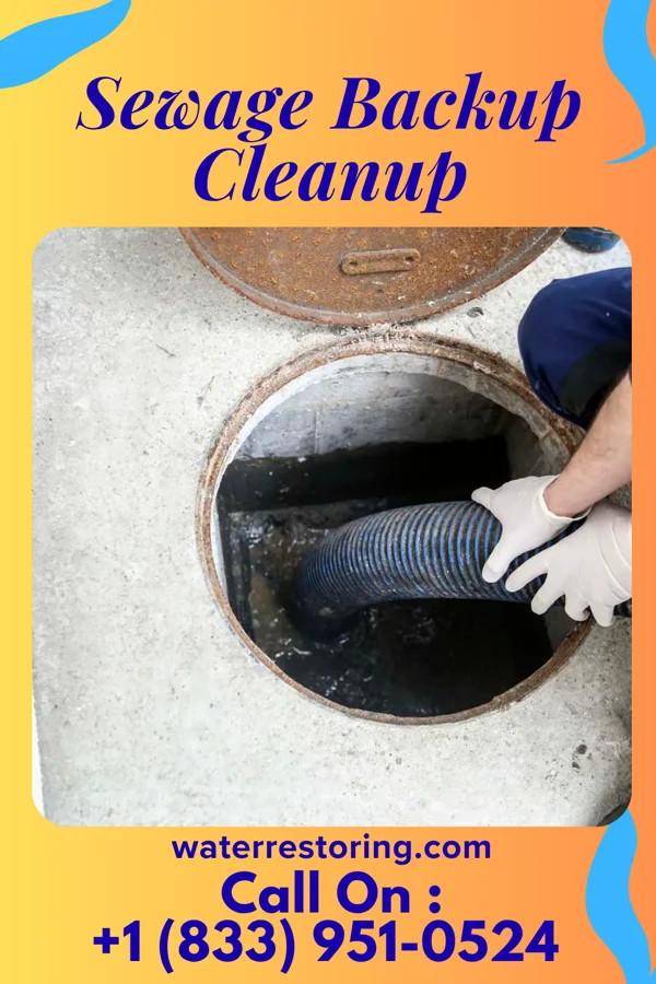 Sewage Backup Cleanup in Fortville, IN