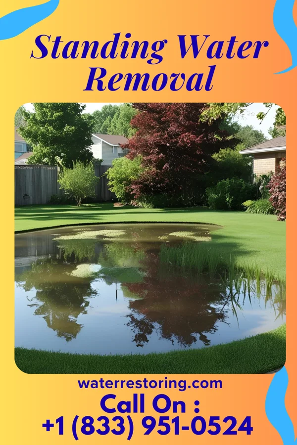 Standing Water Removal in Fortville, IN